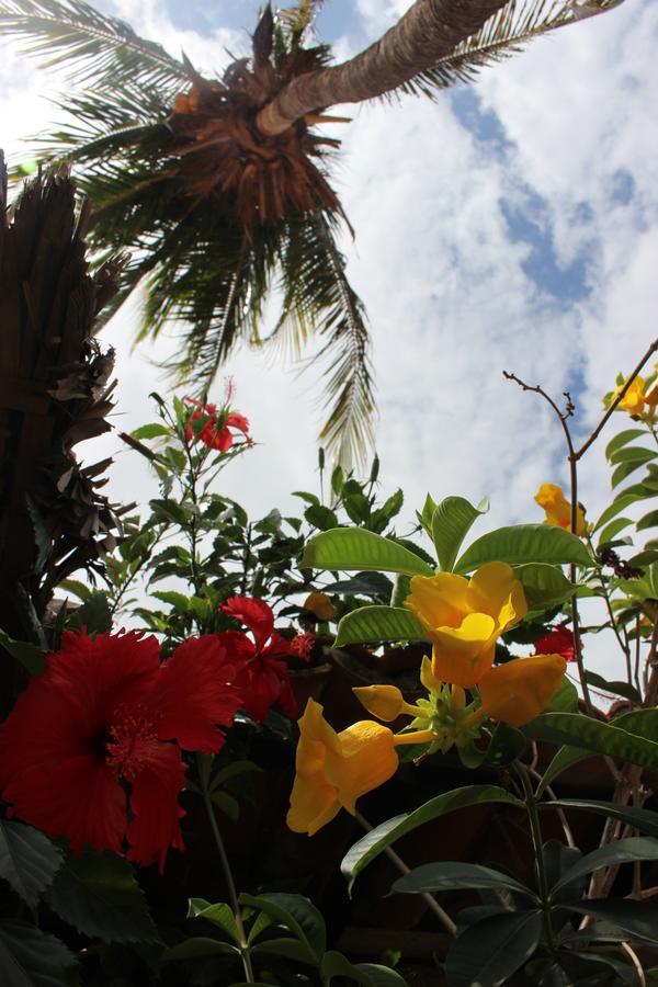 Flow Hotel Jijoca de Jericoacoara Bagian luar foto